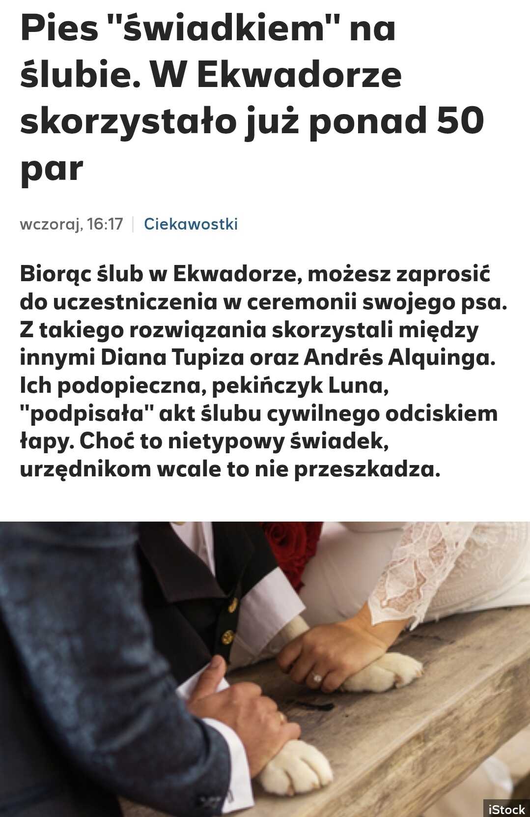 Zdjęcie