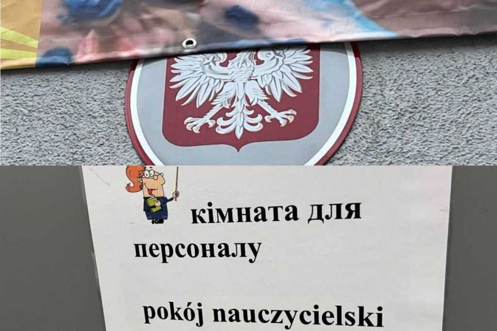 Zdjęcie